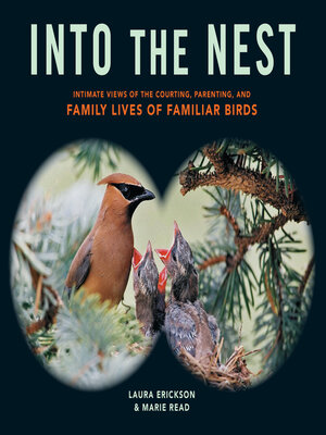 cover image of Into the Nest